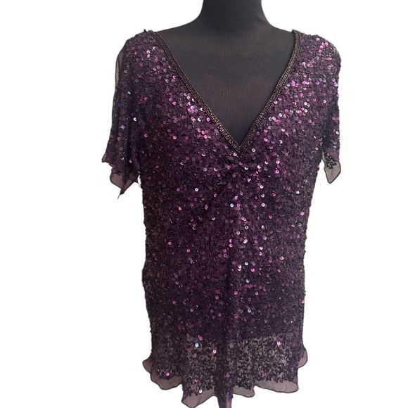 ADRIANNA PAPELL Silk Sequin Purple V Neck Formal Dressy Cocktail Top LG Wedding - Picture 11 of 17
